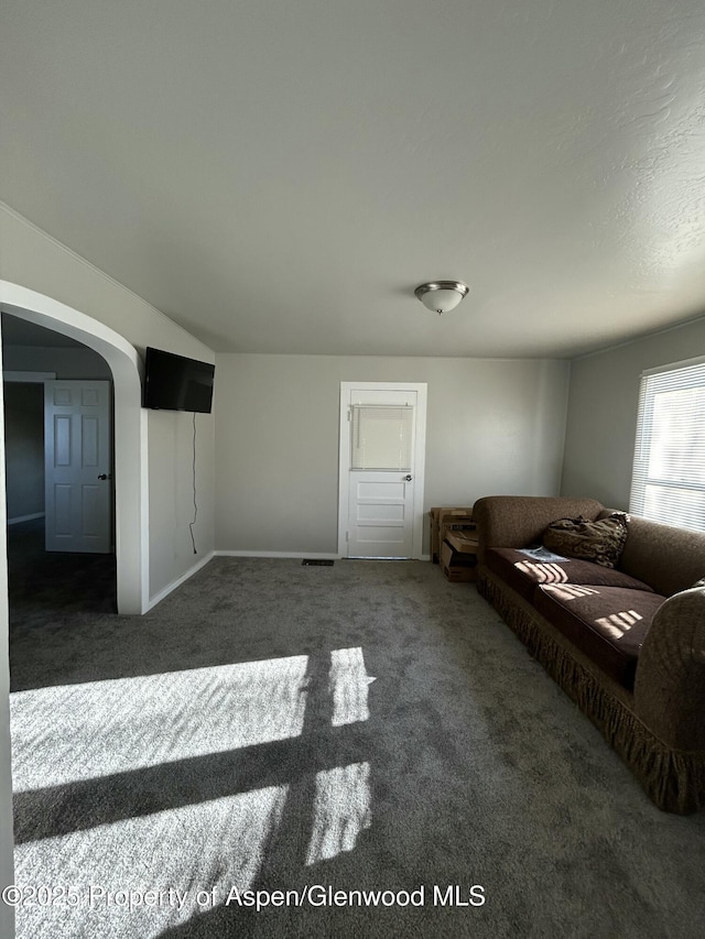 16125 57 8/10 Rd, Collbran, CO 81624 - carpeted living room with arched walkways and baseboards