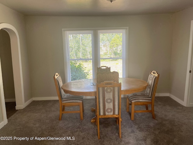 16125 57 8/10 Rd, Collbran, CO 81624 - dining area with carpet flooring and arched walkways