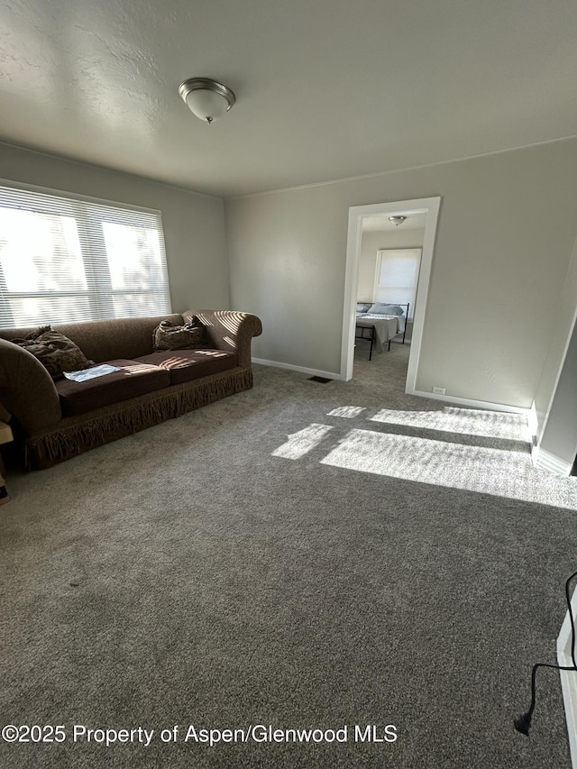 16125 57 8/10 Rd, Collbran, CO 81624 - carpeted living area with baseboards
