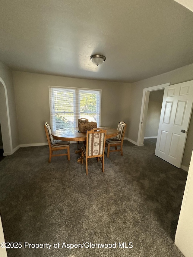 16125 57 8/10 Rd, Collbran, CO 81624 - dining room featuring dark colored carpet