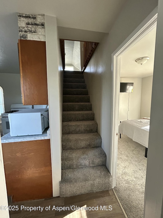 16125 57 8/10 Rd, Collbran, CO 81624 - staircase with wood finished floors