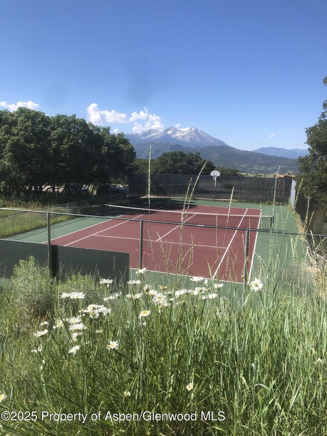 450 Green Meadow Dr, Carbondale, CO 81623