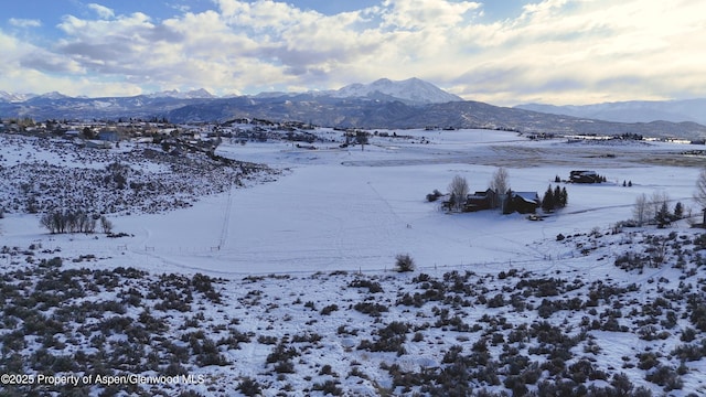 450 Green Meadow Dr, Carbondale, CO 81623