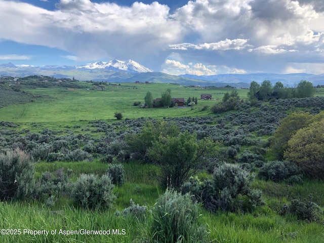 450 Green Meadow Dr, Carbondale, CO 81623