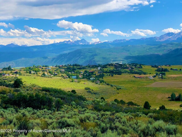 450 Green Meadow Dr, Carbondale, CO 81623