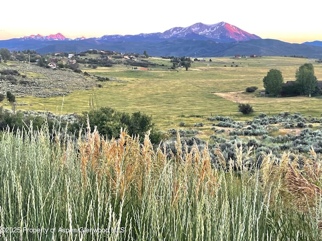 450 Green Meadow Dr, Carbondale, CO 81623