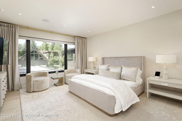725 W Smuggler St, Aspen, CO 81611 - bedroom featuring light hardwood / wood-style flooring