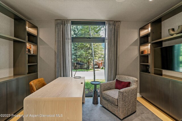 725 W Smuggler St, Aspen, CO 81611 - office with a textured ceiling