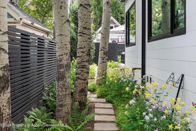 725 W Smuggler St, Aspen, CO 81611 - view of yard
