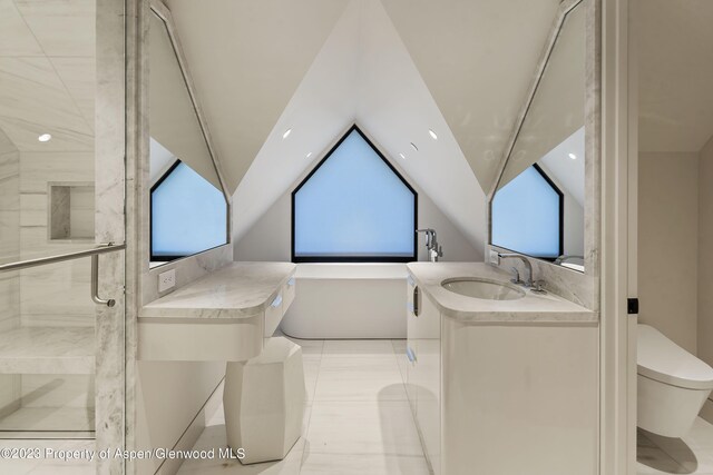 725 W Smuggler St, Aspen, CO 81611 - bathroom featuring vanity, a shower with shower door, lofted ceiling, and toilet