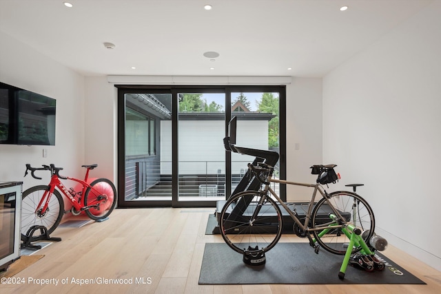 workout room featuring light hardwood / wood-style flooring