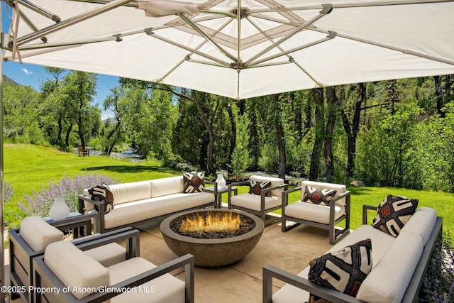 2556 Lower River Rd, Snowmass, CO 81654 - photo 24