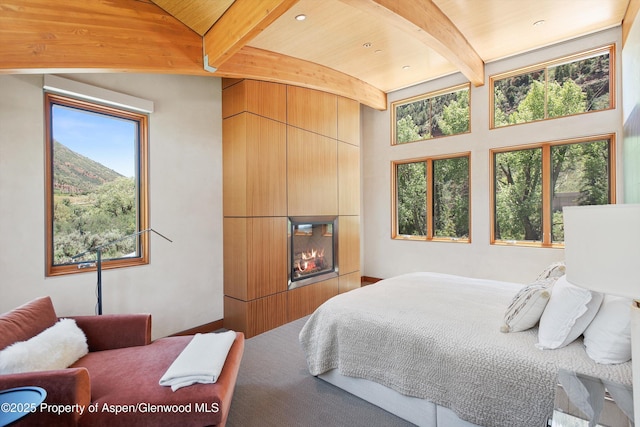2556 Lower River Rd, Snowmass, CO 81654 - photo 14