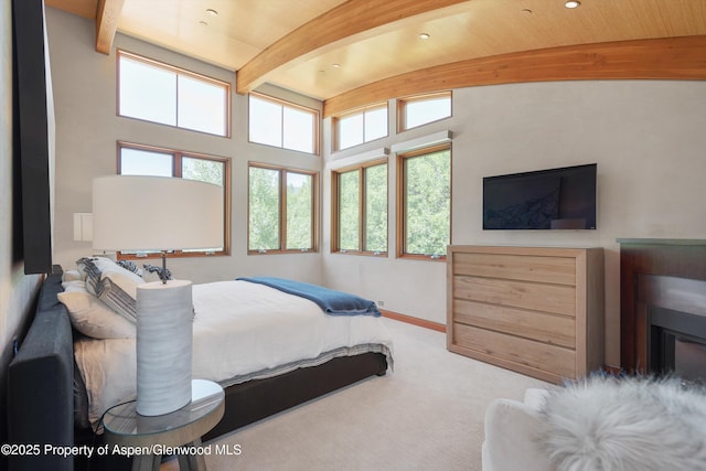 2556 Lower River Rd, Snowmass, CO 81654 - photo 16