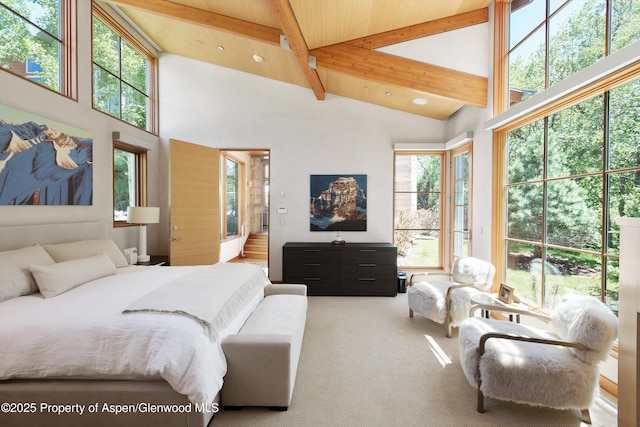 2556 Lower River Rd, Snowmass, CO 81654 - photo 12