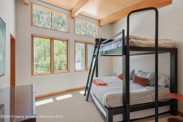 2556 Lower River Rd, Snowmass, CO 81654 - photo 18