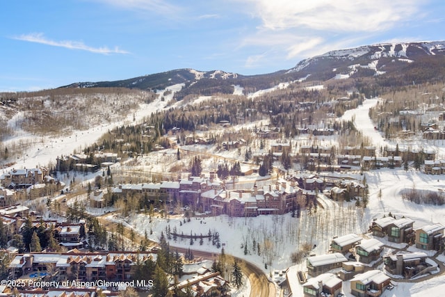 425 Wood Rd Unit 58-E, Snowmass Village, CO 81615 - photo 28
