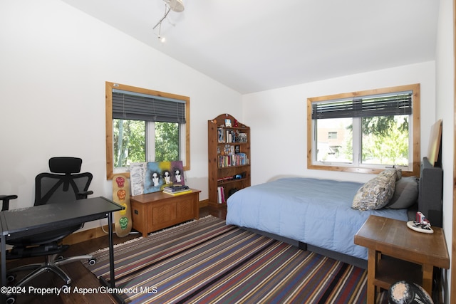 bedroom featuring lofted ceiling