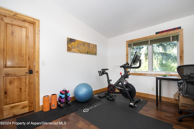 exercise area with dark hardwood / wood-style floors and lofted ceiling