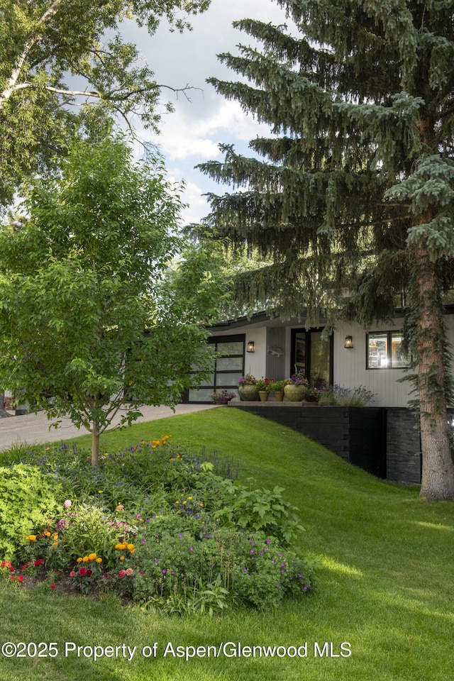 1325 Mountain View Dr, Aspen, CO 81611 - photo 21