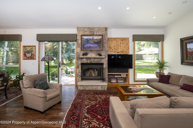 living room featuring dark hardwood / wood-style floors and a fireplace