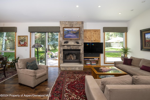 1325 Mountain View Dr, Aspen, CO 81611 - living room featuring dark hardwood / wood-style floors and a fireplace