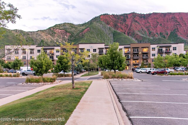 253 Wulfsohn Rd Unit 206, Glenwood Springs, CO 81601