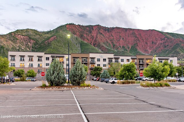 253 Wulfsohn Rd Unit 206, Glenwood Springs, CO 81601