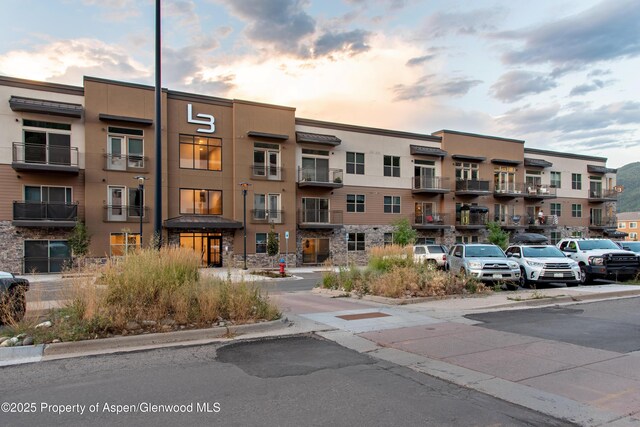 253 Wulfsohn Rd Unit 206, Glenwood Springs, CO 81601
