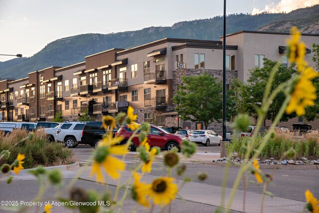 253 Wulfsohn Rd Unit 206, Glenwood Springs, CO 81601