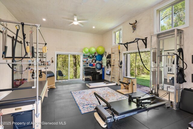 2134 Lower River Rd, Snowmass, CO 81654 - exercise area featuring a ceiling fan and plenty of natural light