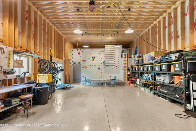 2134 Lower River Rd, Snowmass, CO 81654 - garage with a workshop area