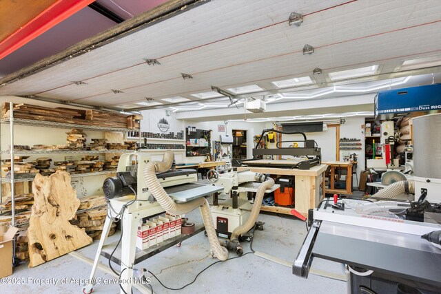 2134 Lower River Rd, Snowmass, CO 81654 - garage featuring a workshop area and a garage door opener