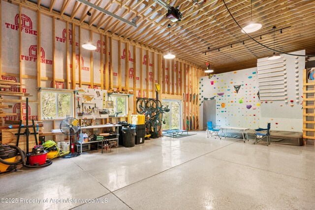 2134 Lower River Rd, Snowmass, CO 81654 - garage featuring a workshop area