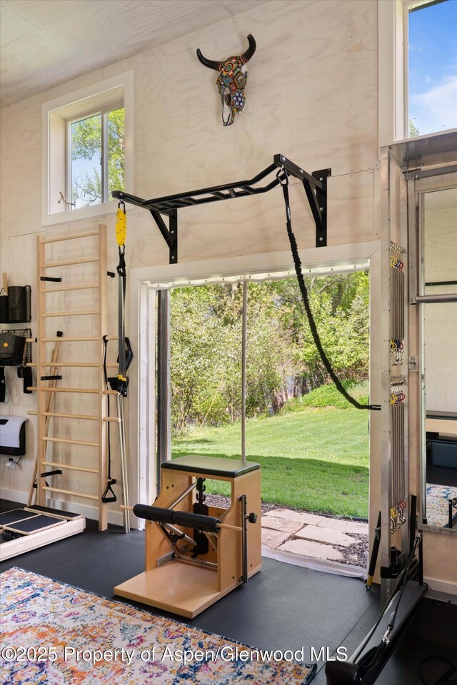 2134 Lower River Rd, Snowmass, CO 81654 - workout room featuring plenty of natural light