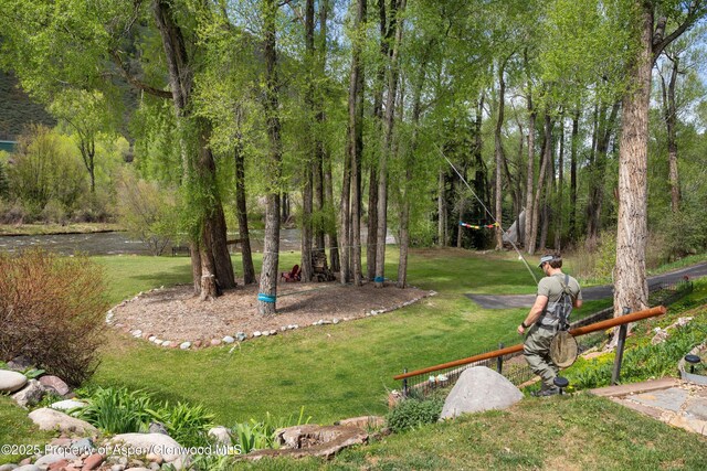 2134 Lower River Rd, Snowmass, CO 81654 - view of green lawn