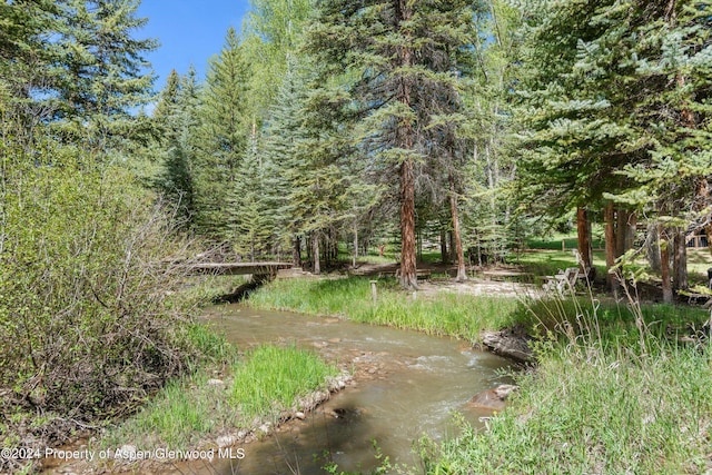 view of local wilderness