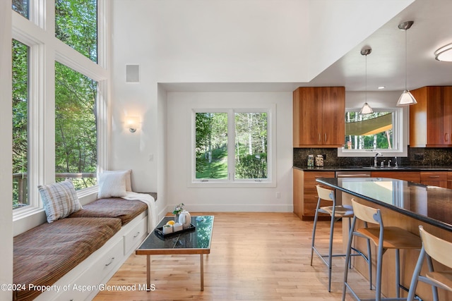 kitchen featuring sink, plenty of natural light, decorative light fixtures, and light hardwood / wood-style flooring