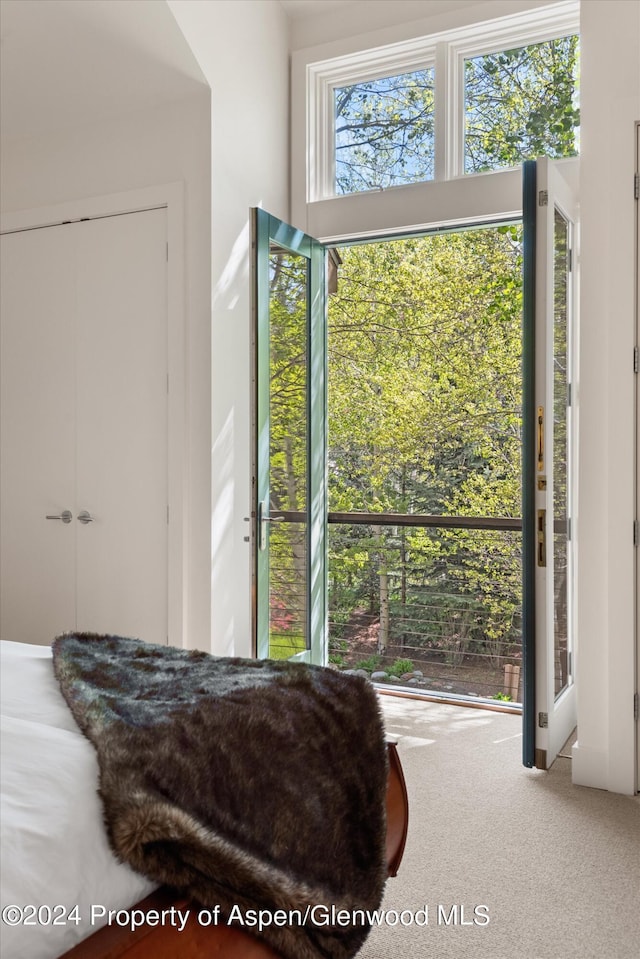 view of carpeted bedroom