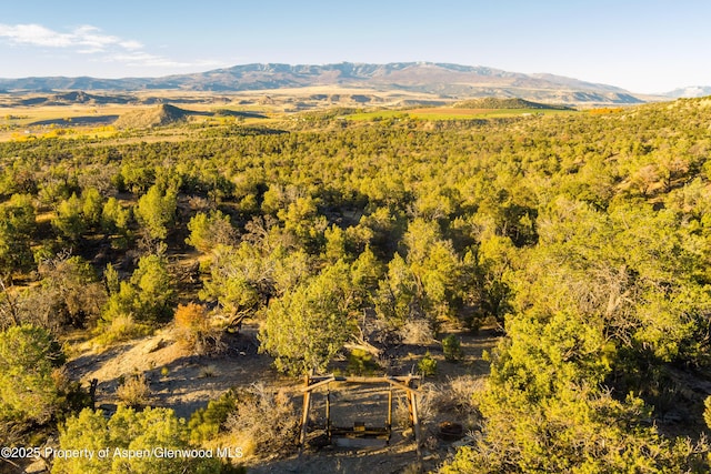 1212 County Road 238th Rd Unit 238, Silt, CO 81652 - mountain view
