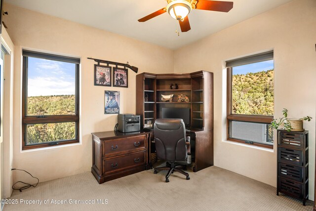 1212 County Road 238th Rd Unit 238, Silt, CO 81652 - office area with light colored carpet and ceiling fan