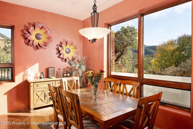 1212 County Road 238th Rd Unit 238, Silt, CO 81652 - view of dining area