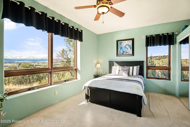 1212 County Road 238th Rd Unit 238, Silt, CO 81652 - bedroom featuring carpet and ceiling fan