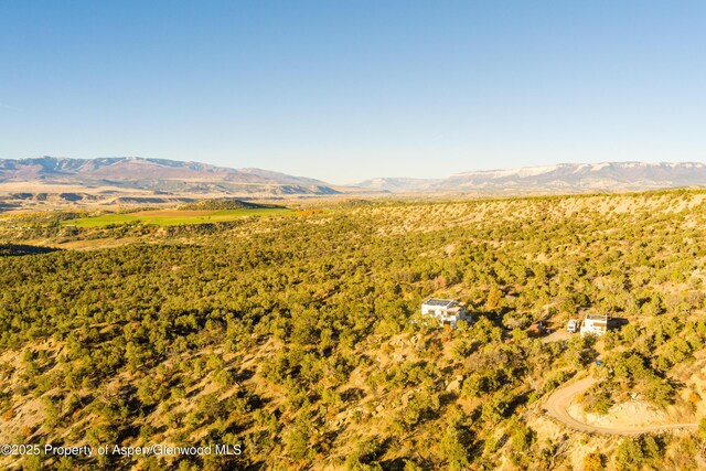 1212 County Road 238th Rd Unit 238, Silt, CO 81652 - view of mountain background