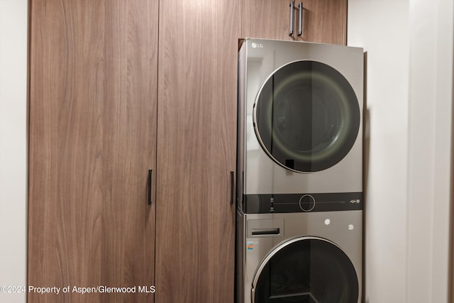 100 E Dean St Unit 1B, Aspen, CO 81611 - laundry room featuring stacked washer / drying machine and cabinet space