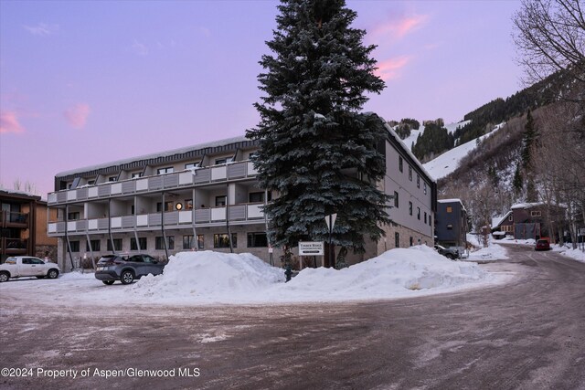 100 E Dean St Unit 1B, Aspen, CO 81611 - snow covered property