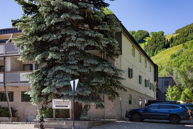 100 E Dean St Unit 1B, Aspen, CO 81611 - view of building exterior