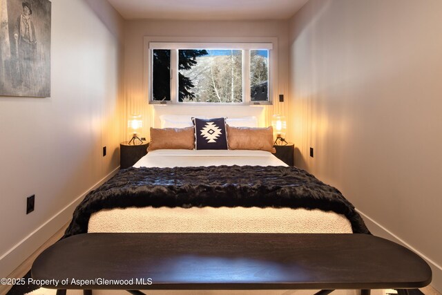 100 E Dean St Unit 1B, Aspen, CO 81611 - bedroom featuring baseboards