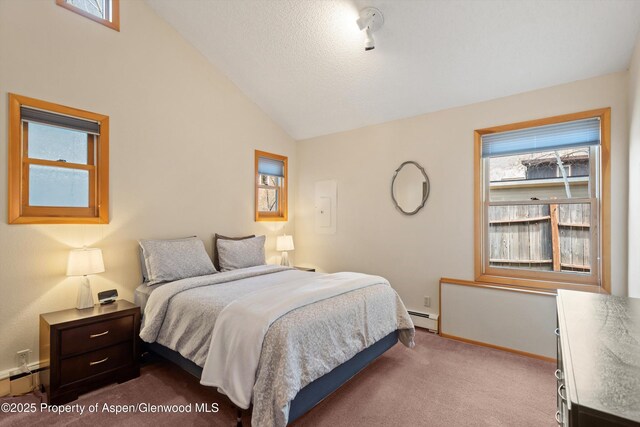 536 Spruce St, Aspen, CO 81611 - bedroom featuring a baseboard heating unit, multiple windows, lofted ceiling, and dark colored carpet