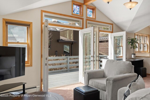 536 Spruce St, Aspen, CO 81611 - carpeted living room with plenty of natural light, a baseboard heating unit, and lofted ceiling